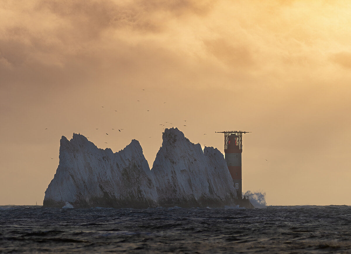 The Needles Sunset Birds Photograph Isle of Wight Landscape Prints