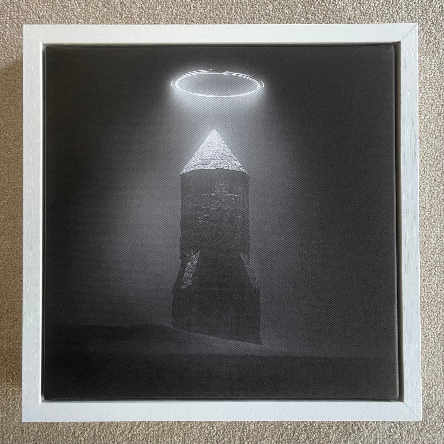 Pepperpot Aliens? - Canvas Floating Frame